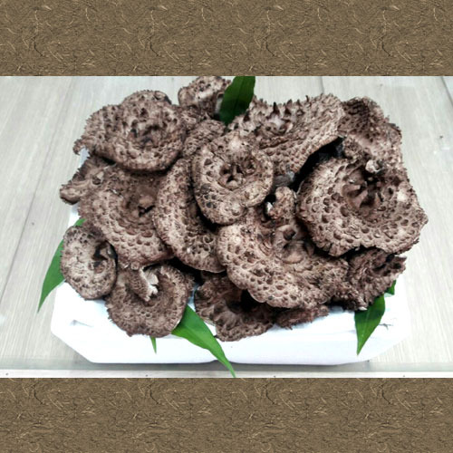 [양양산]능이버섯[냉동] 1kg